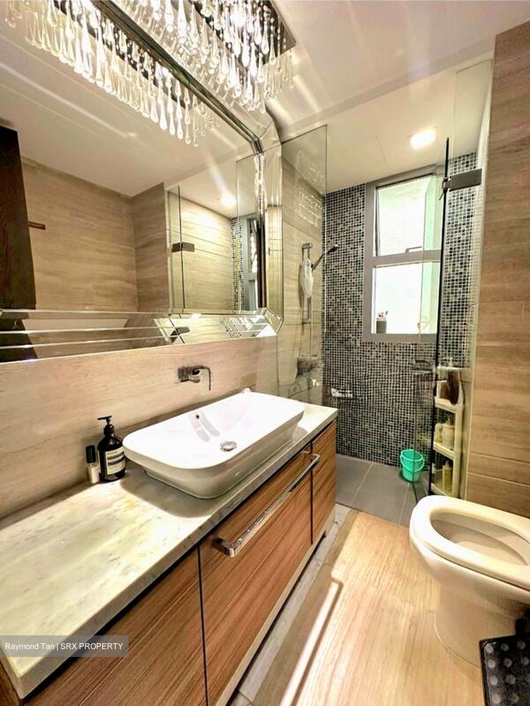 Thomson Grand (D20), Condominium #532488291
